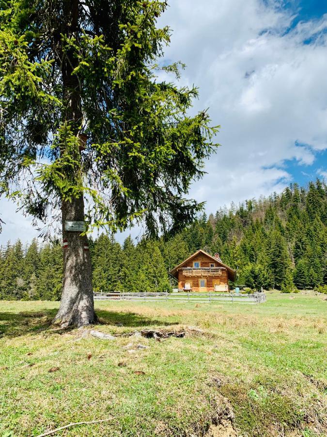 Apartamento Bergheimat Bad Goisern Exterior foto