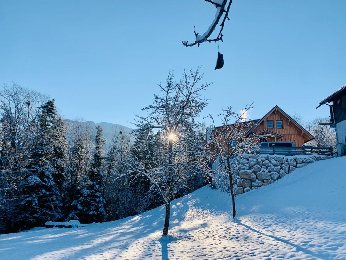 Apartamento Bergheimat Bad Goisern Exterior foto