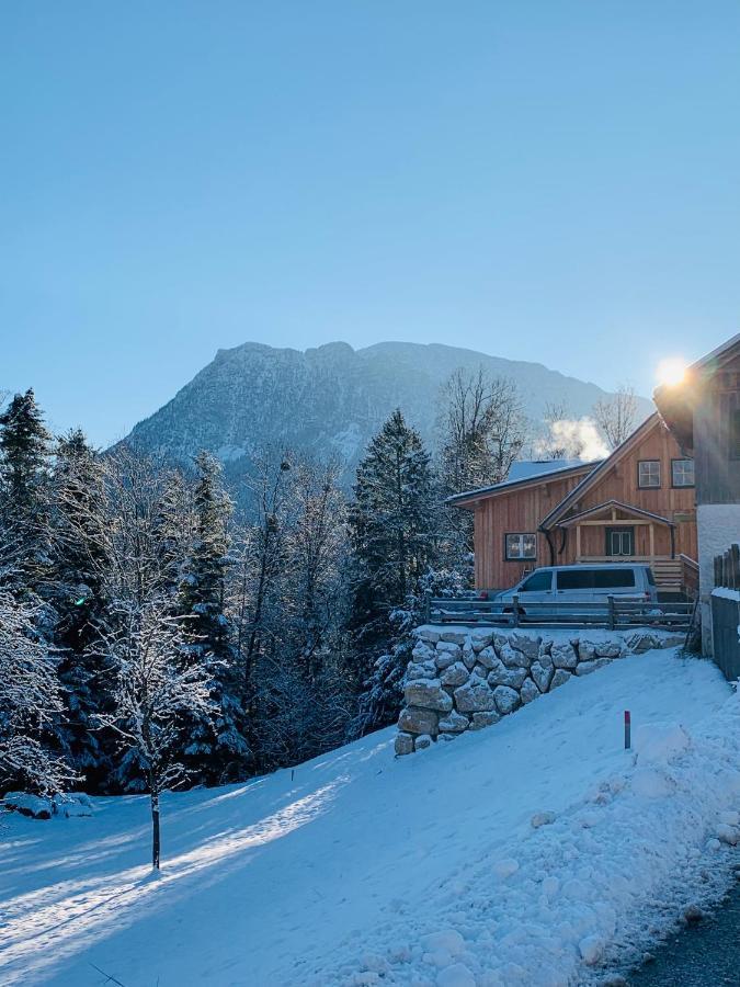 Apartamento Bergheimat Bad Goisern Exterior foto